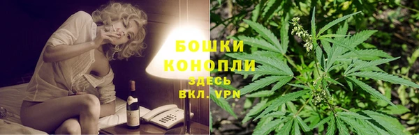 твердый Гусь-Хрустальный