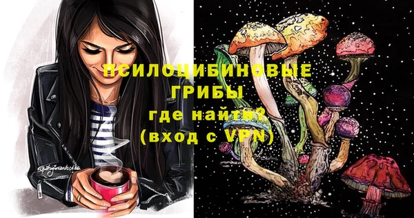 твердый Гусь-Хрустальный