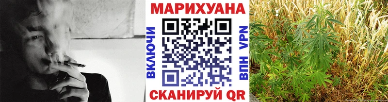 Купить закладки  Камышлов  Бошки Шишки SATIVA & INDICA 